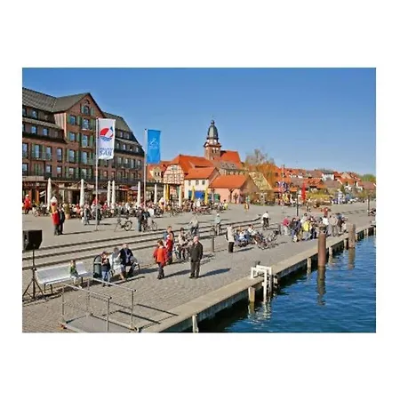 1 - On The Mueritz Lakeshore